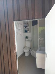 a bathroom with a toilet and a sink at The Nest in Tasman