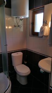 ein kleines Bad mit WC und Waschbecken in der Unterkunft Hotel Margjeka in Valbonë