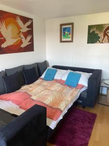 Bett im Wohnzimmer mit Sofa in der Unterkunft Small attic apartment close to Lake and Mountains Fussach in Fußach