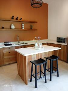 Kuchyň nebo kuchyňský kout v ubytování Casa Zenaida, elegant refuge between sea and jungle + 46 fotografií