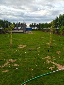 拉米斯瓦拉姆Road House Resort的一片长着树木的草地和一根软管