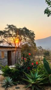 Příroda nedaleko prázdninového domu