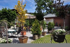 Ogród w obiekcie Hotel Central