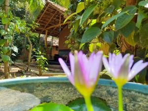 达瓦拉维Sandalwood Ayurvedic Spa & Safari Cottages的一朵粉红色的花静静地躺在水池里