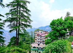 eine Gruppe von Gebäuden auf einem Hügel mit Bäumen in der Unterkunft Le Boho Shimla in Shimla + 21 Fotos