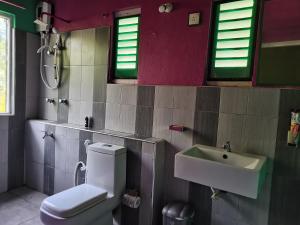 a bathroom with a toilet and a sink at Ceylon Traveller Homestay for Foreign Tourists in Panadura