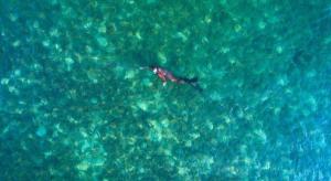 Příroda nedaleko rezortu + 141 fotografií