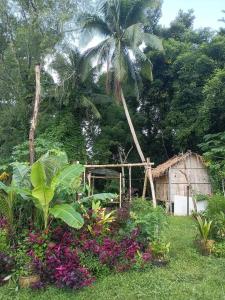 Ban Ni Khu Huรักษ์ธาร โฮมสเตย์的花园里有一棵棕榈树、一栋房子和鲜花。