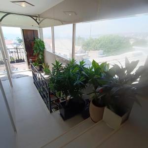 a room with a bunch of plants on a balcony at 49homestay in Ấp Khánh Phước (1)