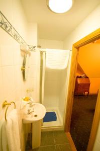a bathroom with a shower and a sink and a shower at Villa Hotel in Hamilton