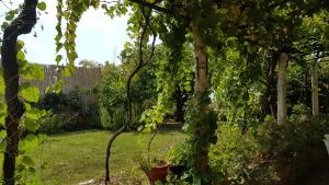 Ein Garten an der Unterkunft Rooms Vjera