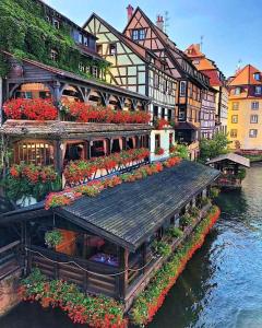 Naturlandskabet i nærheden af lejligheden