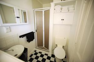 a small bathroom with a toilet and a shower at Regan House in Stratford