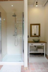 bagno con doccia, lavandino e specchio di 't Schippershuis a Vurste