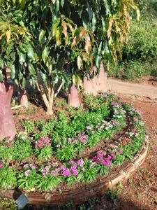 a circular garden with flowers in a park at สิรีรินทร์ ภูหมอก in Khao Kho