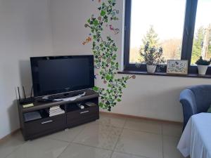ein Wohnzimmer mit einem Flachbild-TV auf einem Stand in der Unterkunft Noclegi - Ostre Lipowa Żywiec Beskidy in Ostre