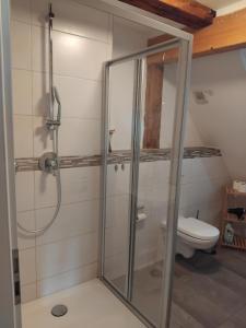 オットーボイレンにあるOttobeuren apartmentのシャワーとトイレ付きのバスルーム