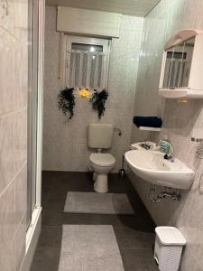 a bathroom with a toilet and a sink at Hirschblick Apartments Willingen in Brilon