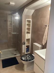 ein Badezimmer mit Dusche, Toilette und Waschbecken in der Unterkunft Dachwohnung in Niederuzwil