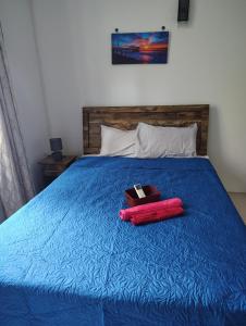 a blue bed with a book and a suitcase on it at Private Haven Escape in Pereybere