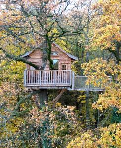 a tree house in the middle of a forest at Le Chêne Perché in Signy-lʼAbbaye