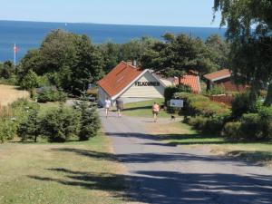 Příroda nedaleko kempu