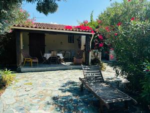 Κήπος έξω από το A Pineta +19 φωτογραφίες