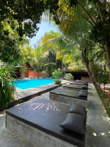 eine Reihe von Betten vor einem Pool in der Unterkunft My Village in Tissamaharama