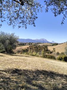 PenneDa Jack Ampia casa con Giardino, Posto Auto e Wi-Fi Penne, Abruzzo的山地草场