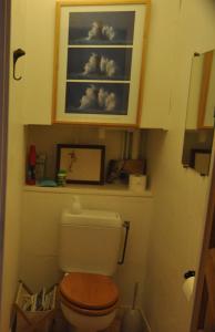 索略Vaste chambre au centre du bourg的浴室里有个马桶，马桶上画着云朵。