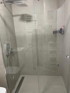 a shower with a glass door in a bathroom at Delta SPA Residence in Niš +10 photos