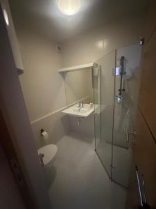 une salle de bains avec toilettes, lavabo et douche dans l'établissement Ilidza Suite, à Sarajevo 2 autres photos