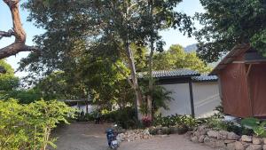 um quintal com uma casa e árvores e um edifício em Baan Mae Jai em Thong Nai Pan Yai