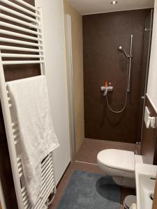 a bathroom with a shower and a white toilet at Central Hideaway in Maria Alm am Steinernen Meer +7 photos