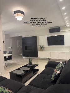 een woonkamer met een bank en een flatscreen-tv bij Spanko w centrum in Zielona Góra