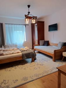 a living room with two beds and a tv at Casa din Prund din Porumbacu de sus in Porumbacu de Sus