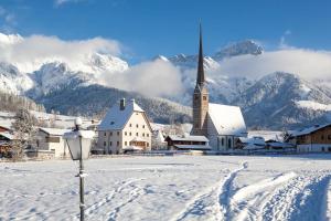 Central Hideaway v zimě