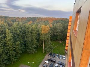 Φυσικό τοπίο κοντά σε αυτό το διαμέρισμα