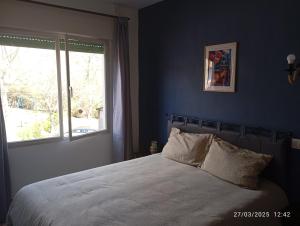 a bedroom with a large bed with a window at Hostal prados abiertos in La Parra +4 photos