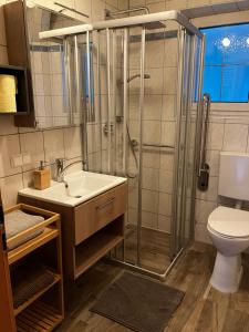 Un baño con ducha, lavabo e inodoro. en Ferienwohnung Familie Hernaus, en Etmissl