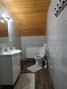 a bathroom with a sink and a toilet at Casa din Prund din Porumbacu de sus in Porumbacu de Sus +19 photos
