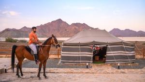 Huéspedes de Subla Camp 53 fotos más