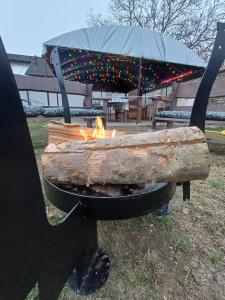 a fire pit in a yard with an umbrella at Borka-land Vendégház in Deszk