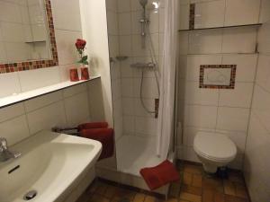 a bathroom with a sink and a toilet and a shower at Strandhof Möhnesee in Möhnesee