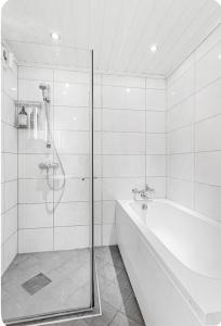 Koupelna v ubytování apartment on the first floor of the house