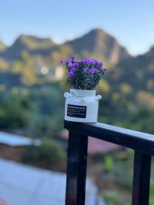 a flower pot sitting on a railing with purple flowers at บ้านสวนผาหมี in Ban Nong Chaeng +4 photos