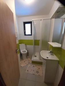 a bathroom with a toilet and a shower and a sink at Apartmán 254 b in Janske Lazne