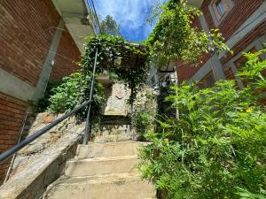 Rowinrich Cottages في إيلا: مجموعة من السلالم المؤدية إلى مبنى