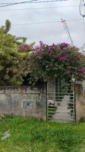 Foto dalla galleria di Enumo House a Itapoa