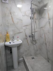 un bagno con lavandino e doccia di Cozy Home a Balaovit